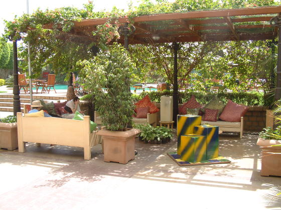 A plant-covered pergola with a swimming pool beyond